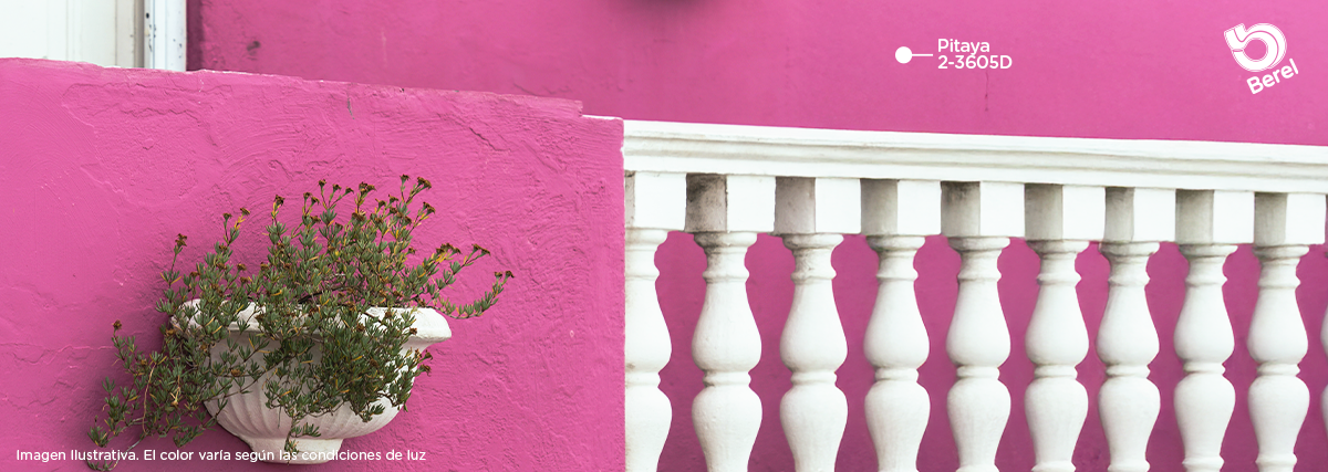 Berel Pitaya Mexi_Muros_Patios