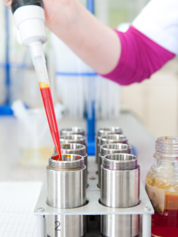 vacantes innovacion laboratorio berel