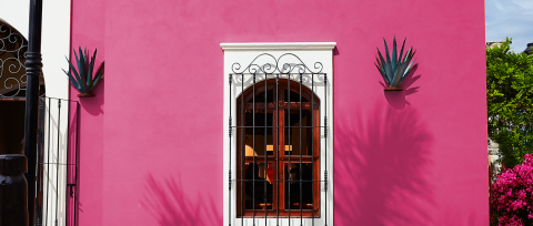 pared color del año berel 2026 pitaya con puerta blanca