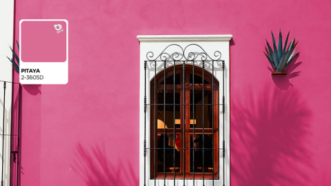 pared color del año berel 2026 pitaya con puerta blanca