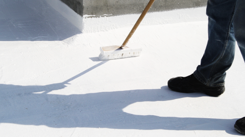 Kover Restaurador Segunda Mano