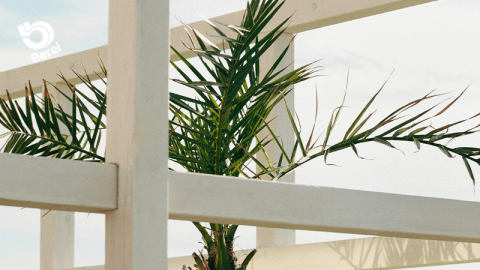 Berel-Qualik-Madera_Metal_Patio