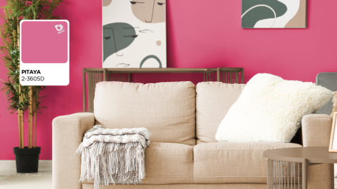 sala paleta distrito urbaya pinturas berel