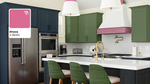 cocina paleta paraiso mexicano pitaya 2026 pinturas berel